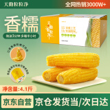 天勤粒粒净有机黄糯玉米8穗*260g（4.1斤）玉米棒低脂玉米真空包装早餐代餐