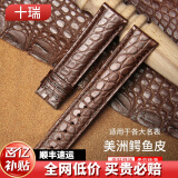 十瑞（SHIRUI）进口美洲鳄鱼皮表带男女适用于浪琴名匠天梭力洛克万国积家欧米茄卡地亚真皮手表带 棕色棕线【无扣款】 20mm