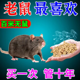 老鼠药三步到一闻死就耗子强药神效高老鼠一锅端室外死闻就死特药 50g