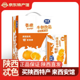 银桥牛奶饮品 早餐奶整箱袋装200ml/袋 香橙味12袋