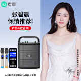 索爱（soaiy）SA-F33手提音响高低音户外k歌大音量广场舞电木吉他乐器音箱直播小型家用音箱双话筒