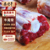 泰德牛 鲁西黄牛原切牛尾骨2斤 炖煮食材 生鲜牛肉