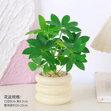 绿有意 绿植花卉办公室客厅桌面盆栽摆件简约创意网红北欧绿植ins云朵盆 鸭脚木+甜甜圈PET树脂盆+托盘+肥料 北欧风格网红绿植