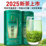 一杯香茶叶绿茶明前早春碧螺春250g2025新茶春茶礼盒装自己喝送礼品袋
