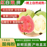 樱鲜红心芭乐低糖低卡脆甜软糯新鲜水果番石榴送酸梅粉孕妇儿童可食 树熟红白双拼芭乐送酸梅粉 5斤(普通装)