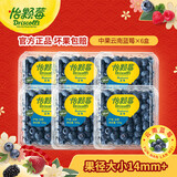 怡颗莓（Driscoll's Only the Finest Berries）云南蓝莓新鲜(JD/顺丰多地次日达)孕妇 宝宝辅食怡颗莓蓝莓 6盒装750g单果14mm+ 云南产地