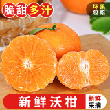 探味君 云南高山沃柑 新鲜水果应当季柑桔橘子整箱 3斤净重2.8斤 【尝鲜装】果径55-65mm