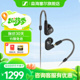 森海塞尔（Sennheiser）IE900/IE600/IE300旗舰级HIFI高保真超宽单动圈单元可拆卸MMCX挂耳式耳机 高保真发烧有线耳机耳塞 IE300 【进阶HIFI高保真】