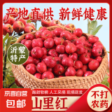山楂果 新鲜山里红甜红子水果 酸甜可口可做雪花山楂食用需适量 精品中大果4斤（泡沫箱）