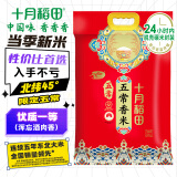 十月稻田 当季新米 五常香米 五常大米 20斤（东北大米 10公斤）
