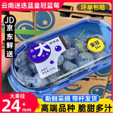 鲜其云南皇冠蓝莓王超大果次日达 蓝莓迷迭莓钻石版24mm+甜蓝莓礼盒装 4盒装【钻石版 24mm+】 钻石版 24mm及以上 【200g/盒】