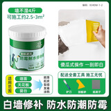家韵（jiayun）补墙膏桶装胶刮涂翻新防水防霉墙面修补胶白墙腻子膏 补墙膏1kg*2桶+全套工具