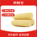 京鲜生 东北白糯玉米230g*8棒 新鲜甜糯玉米棒真空包装粘玉米 源头直发