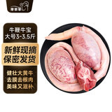 芈羊羊 国产黄牛 新鲜牛鞭牛宝3-3.5斤生鲜牛肉一鞭两蛋 清真 源头直发