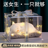 贝初众生日礼物送女生女朋友老婆闺蜜毕业礼物女猫咪摆件高档走心礼盒 波斯猫「大号猫咪+灯串+手提袋」赠精美礼盒 把治愈变成礼物送给TA