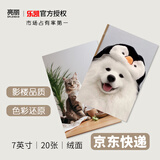 亮丽（SPLENDID）洗照片 照片冲印 洗相片 宠物照片 定制萌宠照片 乐凯相纸7英寸 绒面 20张