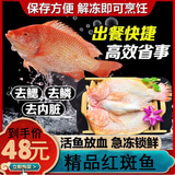 新鲜冷冻红斑鱼生鲜鱼类海鲜鲜活红石斑鱼鲜活海鲜生鲜水产800g 两条装聚会款1600g（立减19元）