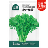 北蔬茼蒿菜种子种苗小叶蓬蒿菜皇帝菜蔬菜种籽 北蔬小叶茼蒿种子20g