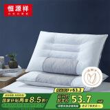 恒源祥枕头决明子抗菌颈椎枕单人睡觉硬枕头枕头芯整头一只装48*74cm