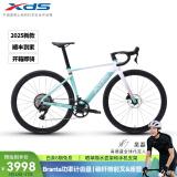 喜德盛（xds）公路自行车AD350桶轴轮组UCI内走线气动车架油碟 2025-流光青 480mm