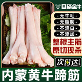 目无全牛国产新鲜牛蹄筋 生牛筋大主筋生鲜牛肉脱骨牛筋 牛蹄筋 2斤