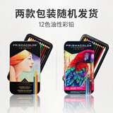 PRISMACOLOR霹雳马彩色铅笔彩铅笔12色油性大师级画笔挂装绘画艺术写生手绘美国三福美术写生