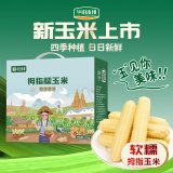 华田禾邦云南拇指小玉米3斤（24-30根）儿童低脂杂粮礼盒 烧烤食材