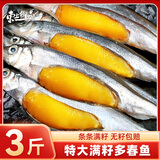东上御品 辽宁 满籽多春鱼净重3斤 L规格大号满籽 烧烤煎炸食材-源头直发