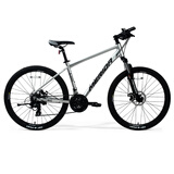 美利达（MERIDA）25款 雄狮610 山地自行车 21速 斯灰银 26*19 (建议身高178-185CM)