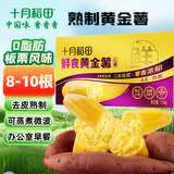 十月稻田 鲜食黄金薯 3斤 玛莎莉红薯 番薯 地瓜 板栗红薯 熟制即食 早餐