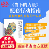 【当当正版包邮】当下的力量 白金版 当下的力量实践手册 埃克哈·托利经典之作 正版 张德芬  励志成长成功书籍 当下的力量实践手册 白金版