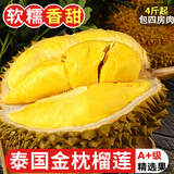 探味君 泰国金枕头榴莲 应当季新鲜水果大果巴掌榴莲肉一整个批发 生鲜 A级精选【4-5斤单果】包四房肉
