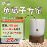 精芝【吸入+导入式】负氧离子空气净化器多功能负离子发生器家用氧吧 KS-17（套餐三）