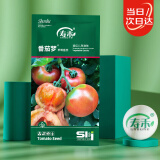 寿禾草莓番茄种子铁皮柿子春季种籽 潍育系列番茄梦草莓番茄种子20粒 