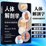 人体解剖学 结构和功能图谱 马超主译 借助分解图深入展示人体器官的工作动态