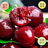 京兴果大连美早樱桃新鲜水果整箱5斤国产车厘子5j孕妇当季3j大樱桃 3斤(净重)  精选装