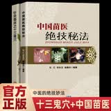2册中国苗医绝技秘法+针灸临床之十三鬼穴 苗医特色外治秘技疗法 苗族民间的特殊治疗方法世代相传