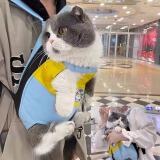 贝尼宠 猫包外出 狗包双肩背包 胸前包 透气四脚包网红款宠物正背反背包 蓝黄L 背长26-32cm适5-10斤