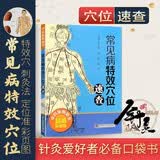 常见病特效穴位速查中医理论书籍自学入门点穴经络速记图 穴位速查经络图解 中医入门养生保健