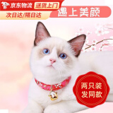 美悦宠物日本和风猫咪项圈除跳蚤猫圈带铃铛防跳蚤狗狗颈圈猫脖圈宠物用品 车红色招财猫适合3-15斤 均码（19-30）厘米