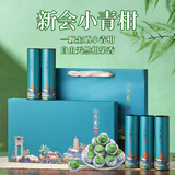 天洲溪陈皮之乡新会小青柑 云南熟普洱 250g茶叶礼盒送人领导长辈老人