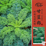 寿禾 羽衣甘蓝种子苗食用绿色蔬菜种籽 潍育绿罗莎羽衣甘蓝种子500粒