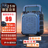 山水G50蓝牙户外大音量广场舞音响收音机手提便携式摆摊喇叭收钱码播报器电木吉他民谣乐器音箱无麦版