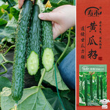 寿禾 大黄瓜种子种苗青瓜春季蔬菜籽 潍丰中寿35新二代黄瓜种子60粒