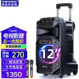 TEMEISHENG 特美声SL12-31广场舞音响户外低音炮大音量家用k歌唱歌便携式蓝牙移动户外音响大功率蓝牙音箱 12寸标配+2支无线话筒+大礼包