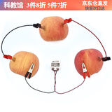 能恩智慧学生手工作业科技小制作小发明水果电池生物发电科学实验新年礼物 水果电池实验材料包