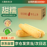 天勤粒粒净有机白糯玉米6穗*200g（2.4斤）新玉米棒糯玉米真空包装早餐代餐