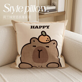 慢说抱枕沙发靠枕飘窗睡觉靠背垫卡通枕套可拆洗含抱枕芯内胆 45x45cm