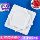 SHUANG YU一次性盘子中号方形纸盘20只*20cm环保可降解纸碟烧烤野餐碗盘