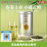 徽六【安徽味道】黄茶霍山黄芽茶叶 2025新茶雨前特二级50g自己喝